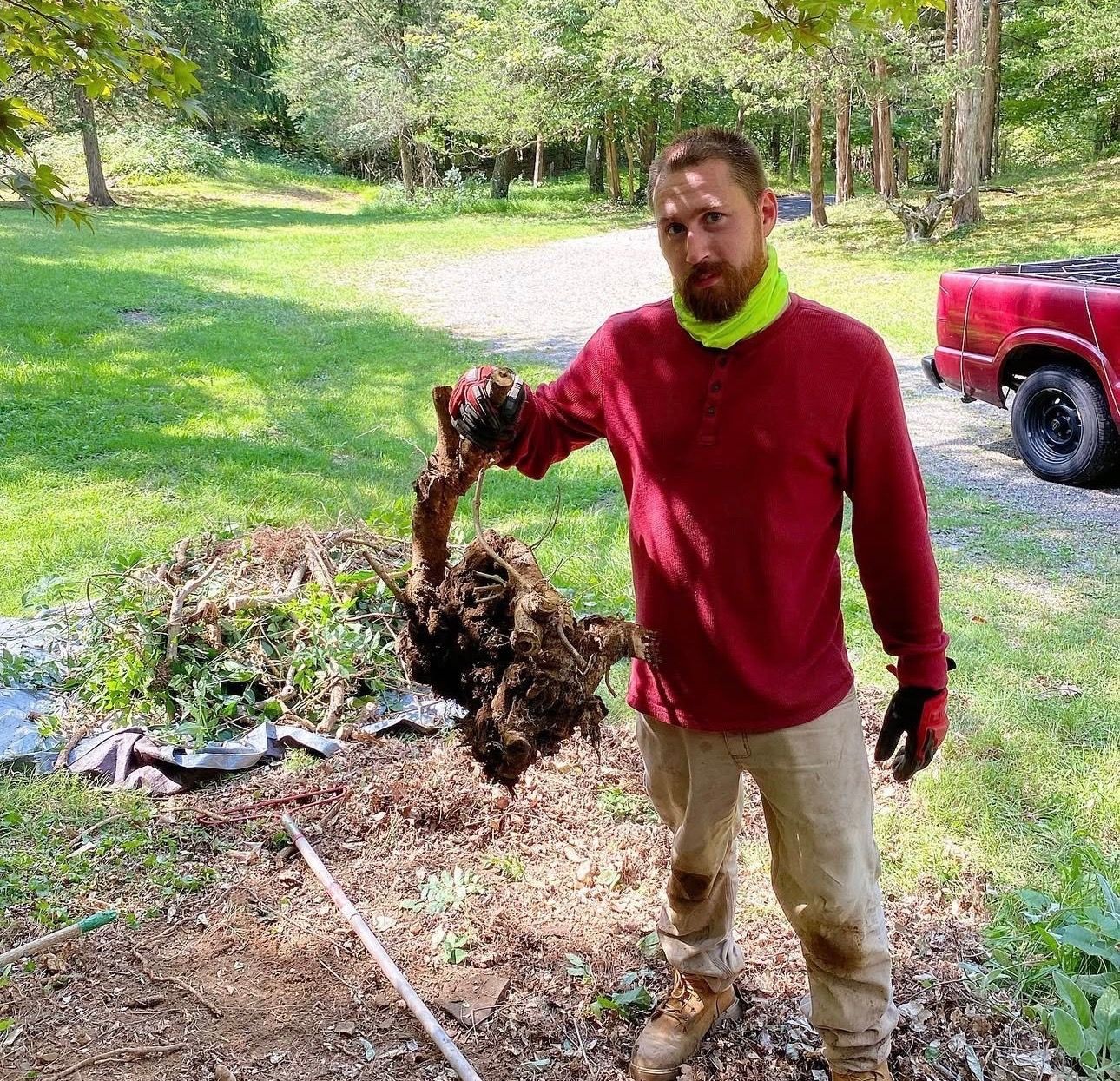 Tree & Shrub Management